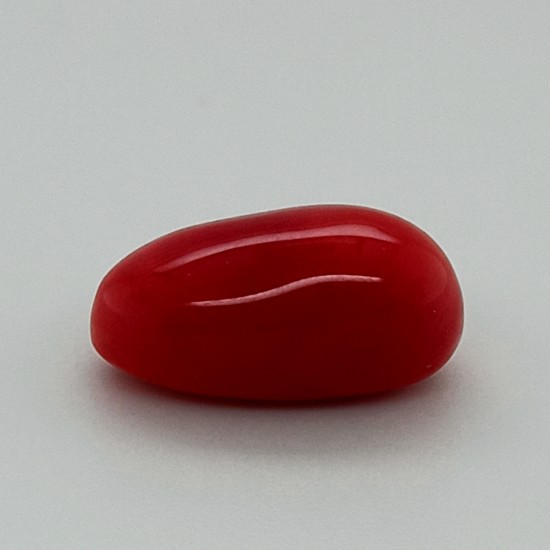 Coral  (Moonga) 7.06 Ct Best Quality